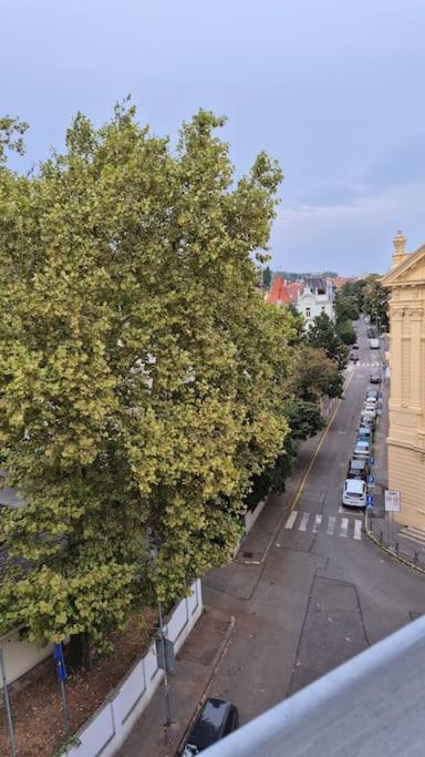 Lovely Old Town Apartment Bratislava Eksteriør bilde